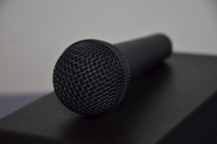 vocal mic