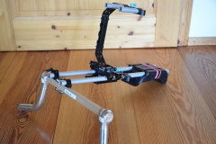 Rig without camera