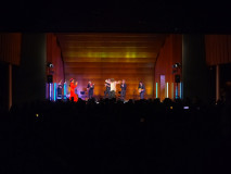 IMG_20241115_222236