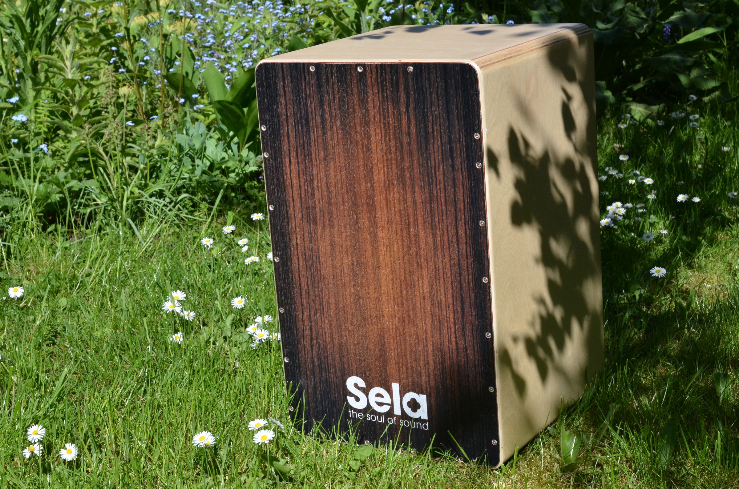 Various Brown Sela Cajon