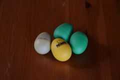 Egg Shakers