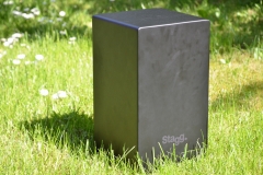 Stagg Cajon