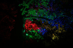 DSCF0102