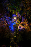 DSCF0174