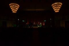 CUL_3029
