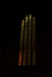 DSC05524