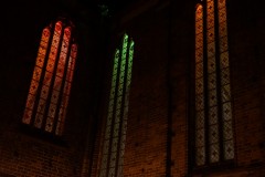 DSC05529