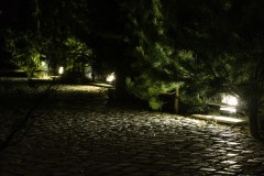 MG_5727