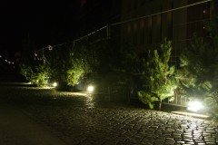 MG_5730